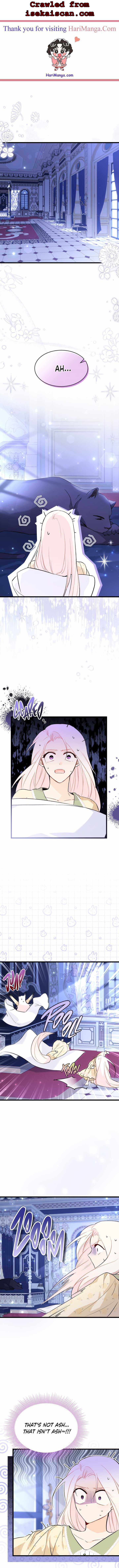 The Symbiotic Relationship Between the Rabbit and the Black Panther Chapter 54 page 0