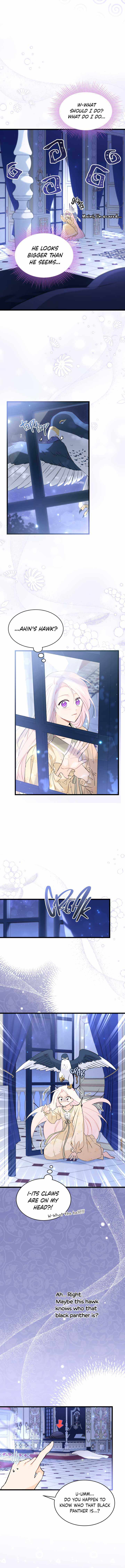 The Symbiotic Relationship Between the Rabbit and the Black Panther Chapter 54 page 1