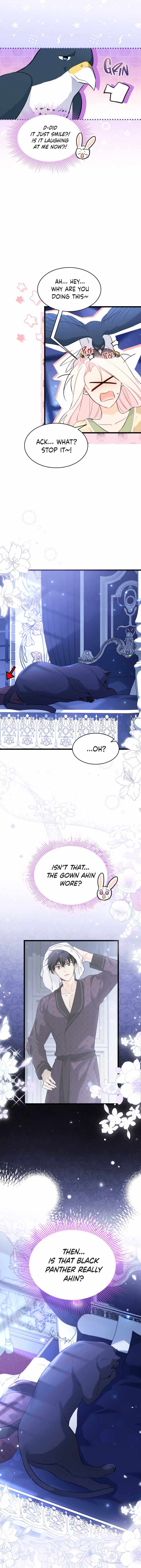 The Symbiotic Relationship Between the Rabbit and the Black Panther Chapter 54 page 2
