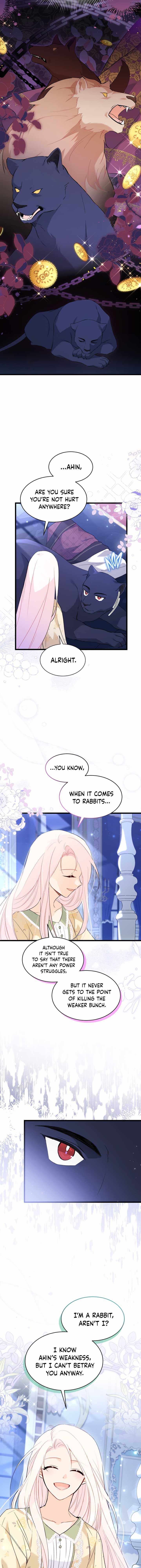 The Symbiotic Relationship Between the Rabbit and the Black Panther Chapter 54 page 8