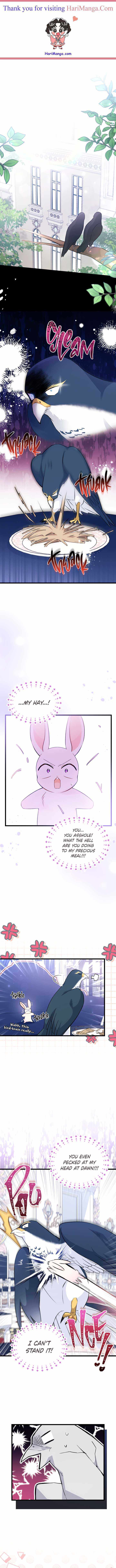 The Symbiotic Relationship Between the Rabbit and the Black Panther Chapter 55 page 0