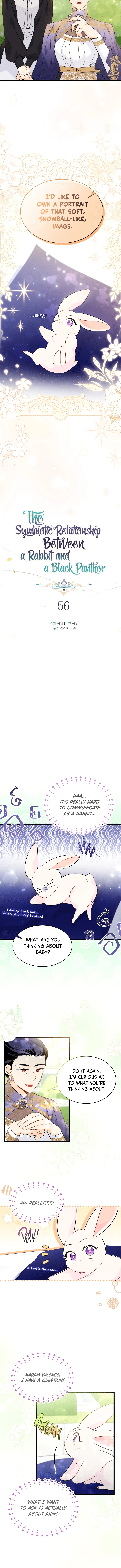 The Symbiotic Relationship Between the Rabbit and the Black Panther Chapter 56 page 2