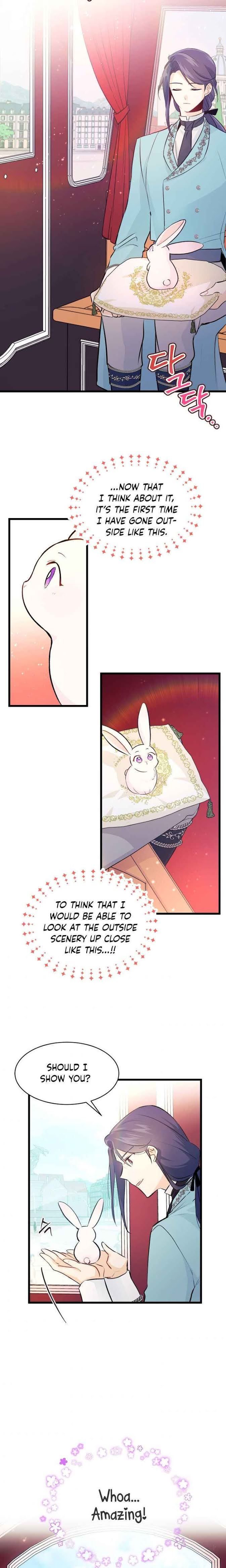 The Symbiotic Relationship Between the Rabbit and the Black Panther Chapter 6 page 13