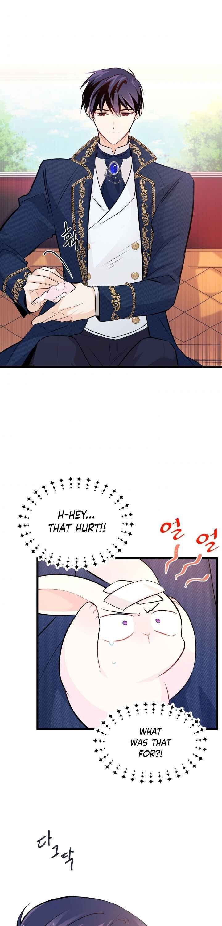 The Symbiotic Relationship Between the Rabbit and the Black Panther Chapter 6 page 16