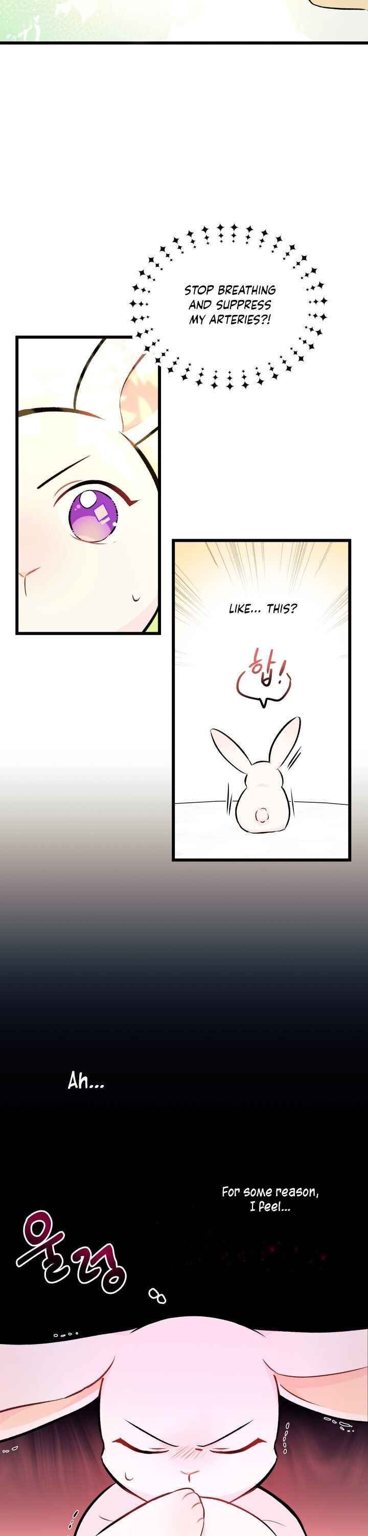 The Symbiotic Relationship Between the Rabbit and the Black Panther Chapter 6 page 4