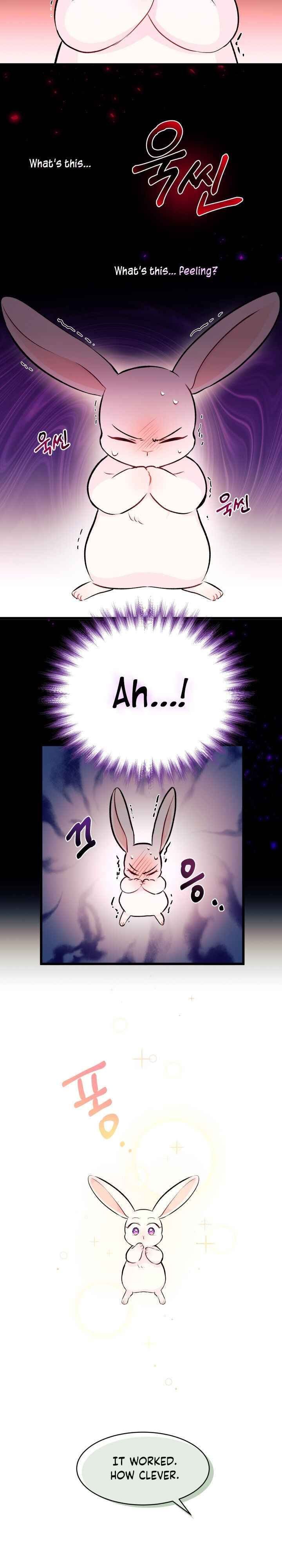 The Symbiotic Relationship Between the Rabbit and the Black Panther Chapter 6 page 5