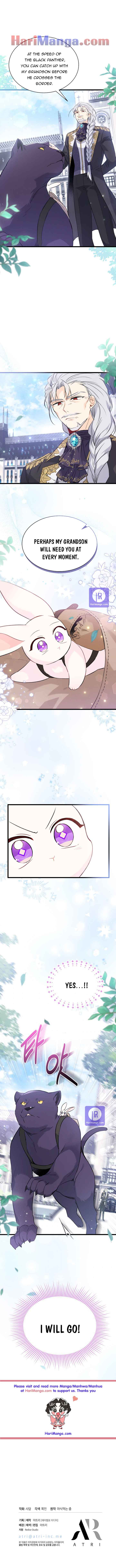The Symbiotic Relationship Between the Rabbit and the Black Panther Chapter 60 page 6