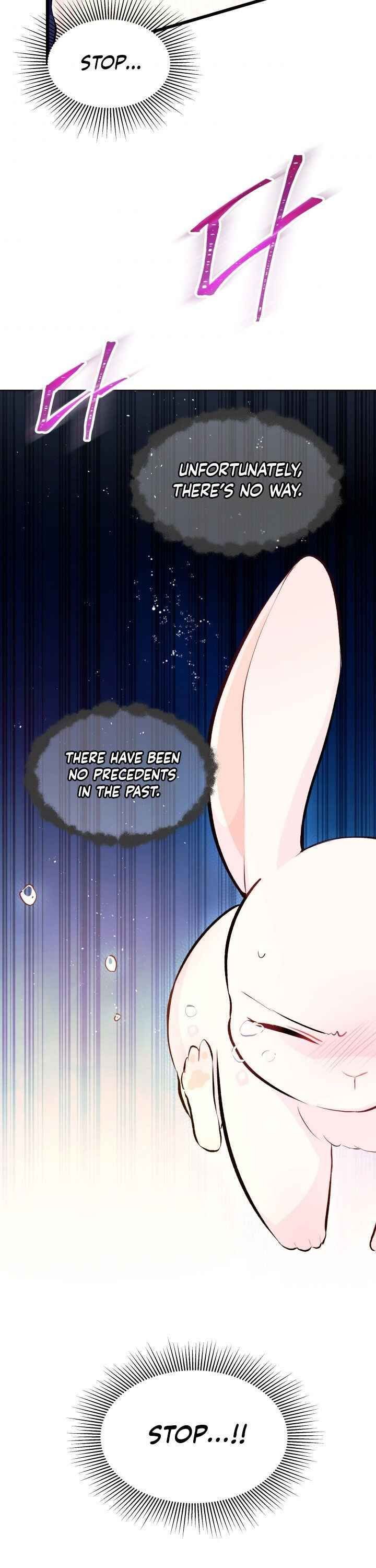 The Symbiotic Relationship Between the Rabbit and the Black Panther Chapter 7 page 12