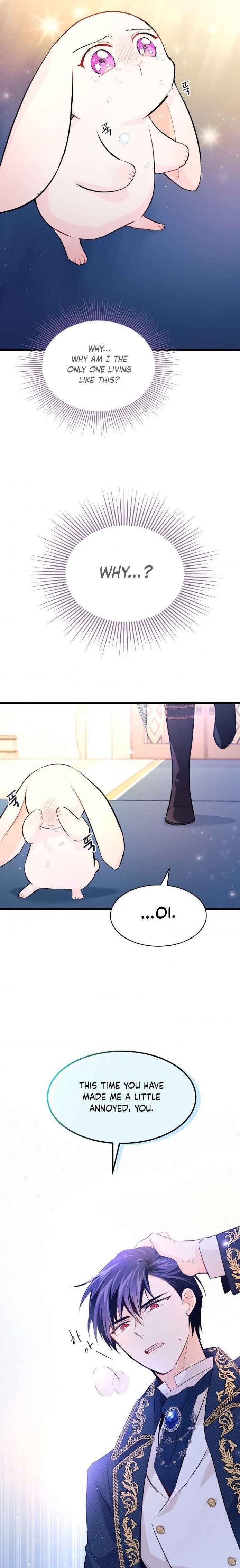 The Symbiotic Relationship Between the Rabbit and the Black Panther Chapter 7 page 15