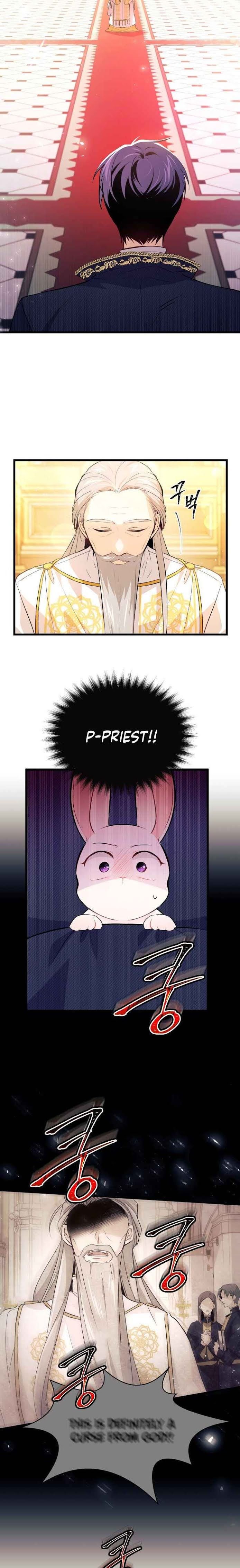 The Symbiotic Relationship Between the Rabbit and the Black Panther Chapter 7 page 5