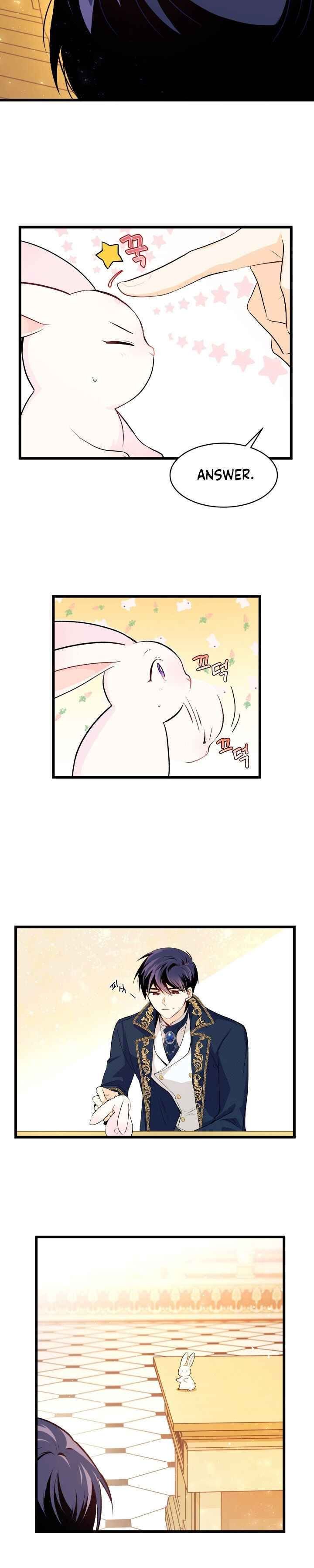The Symbiotic Relationship Between the Rabbit and the Black Panther Chapter 7 page 7