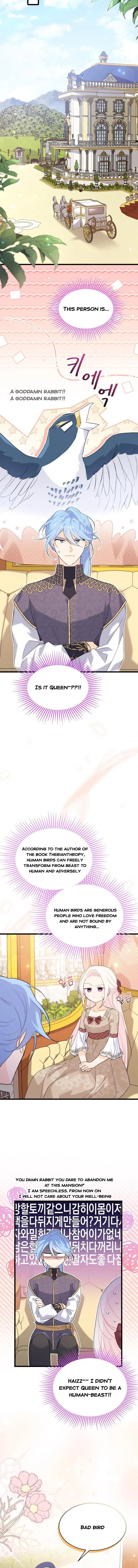 The Symbiotic Relationship Between the Rabbit and the Black Panther Chapter 78.5 page 4