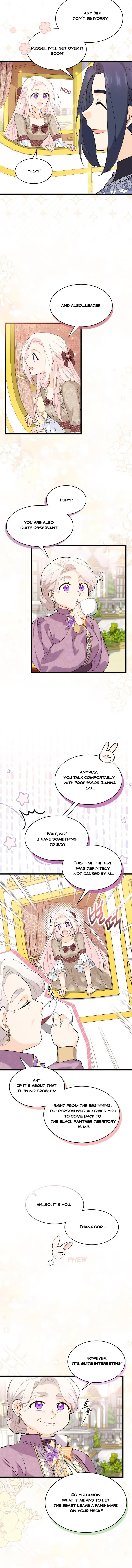 The Symbiotic Relationship Between the Rabbit and the Black Panther Chapter 79 page 1