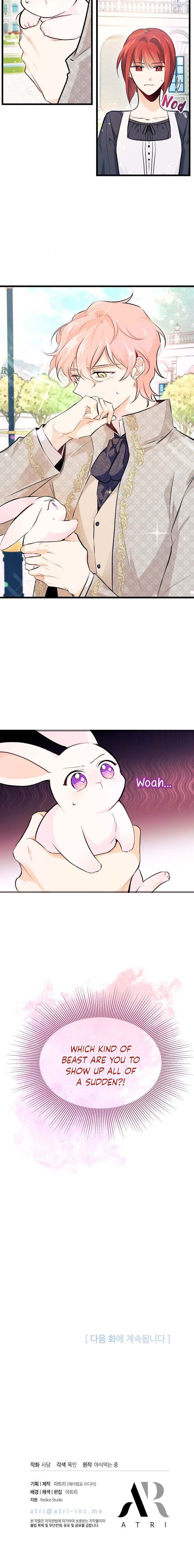 The Symbiotic Relationship Between the Rabbit and the Black Panther Chapter 8 page 20