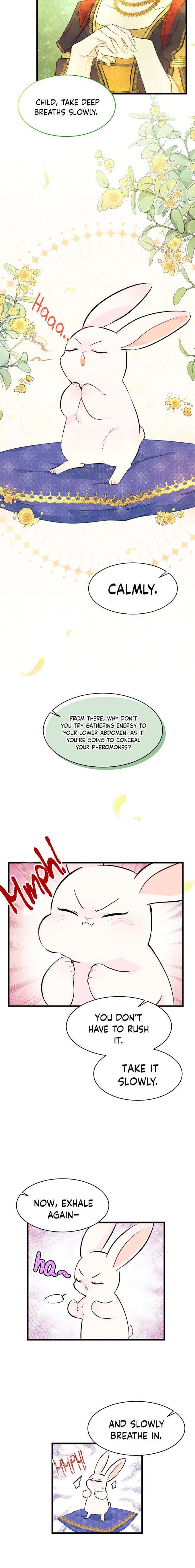 The Symbiotic Relationship Between the Rabbit and the Black Panther Chapter 8 page 2