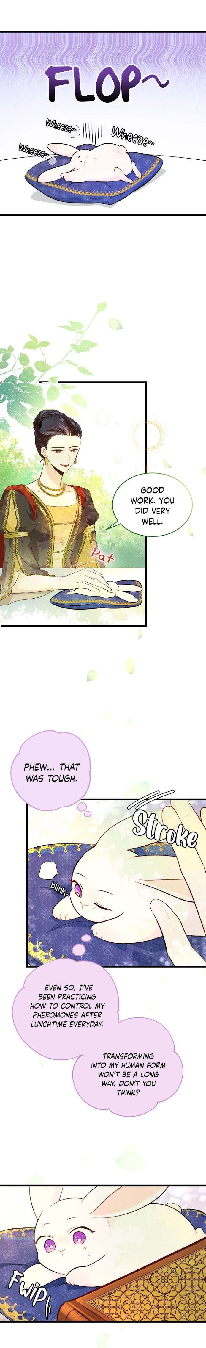 The Symbiotic Relationship Between the Rabbit and the Black Panther Chapter 8 page 4