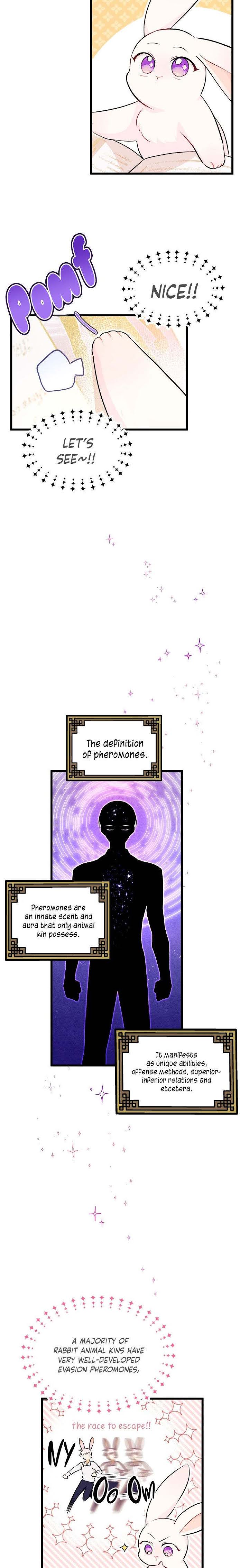 The Symbiotic Relationship Between the Rabbit and the Black Panther Chapter 8 page 8