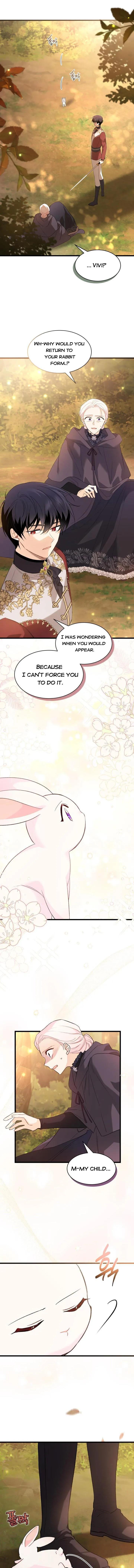 The Symbiotic Relationship Between the Rabbit and the Black Panther Chapter 81.5 page 5