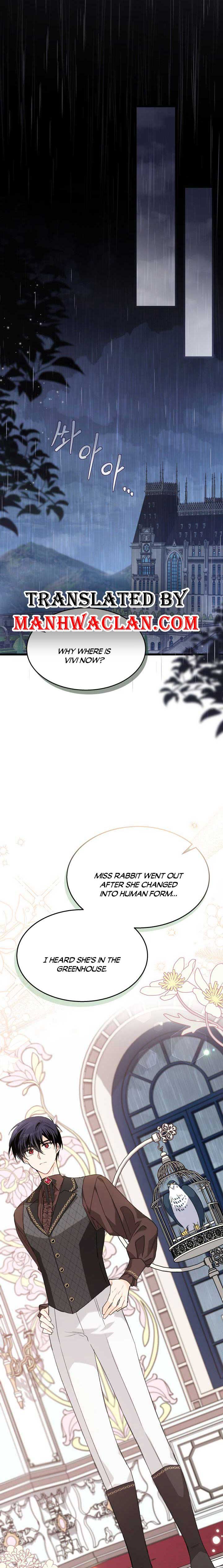 The Symbiotic Relationship Between the Rabbit and the Black Panther Chapter 86.5 page 0
