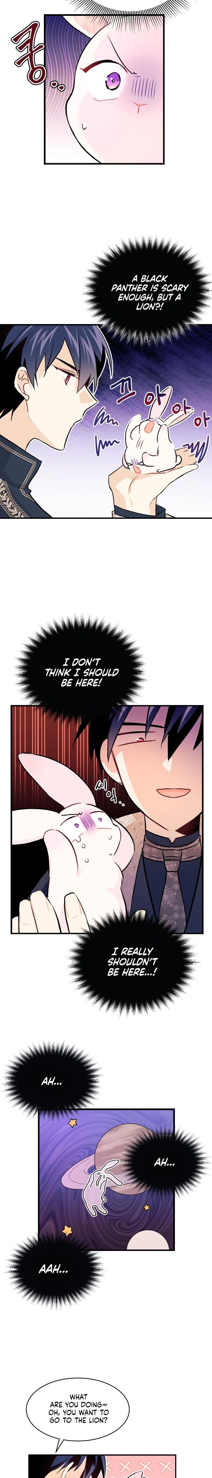 The Symbiotic Relationship Between the Rabbit and the Black Panther Chapter 9 page 8