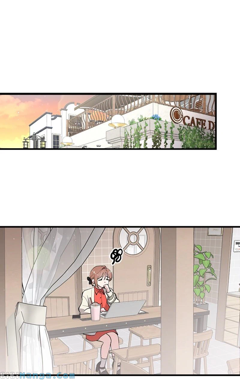 The Team Leader is Tired of Being A Newlywed Chapter 14 page 0