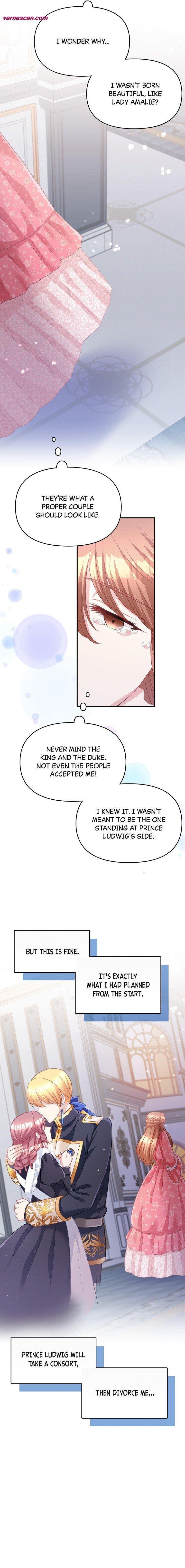 The Truth Behind the Sadistic Prince Chapter 33 page 9