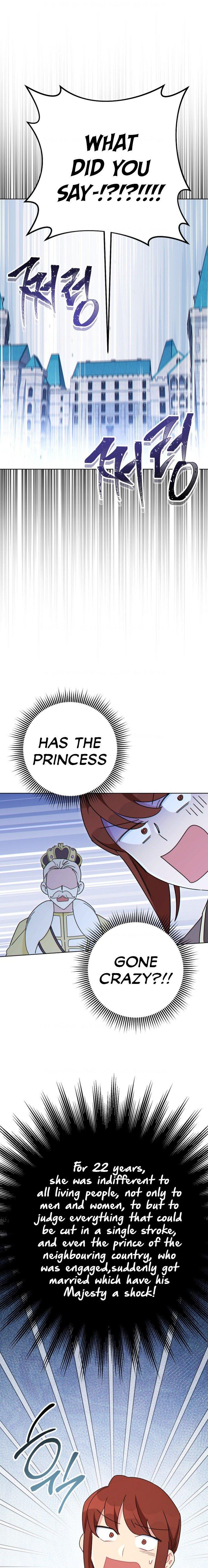 The Tyrant Princess Wants to Get Married! Chapter 1 page 19