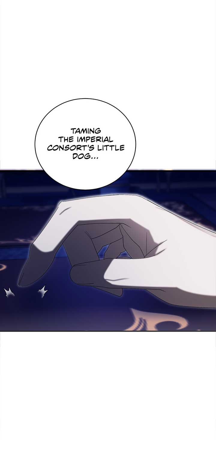 The Wallflower Who Was Proposed to by the Tyrant Chapter 7 page 47
