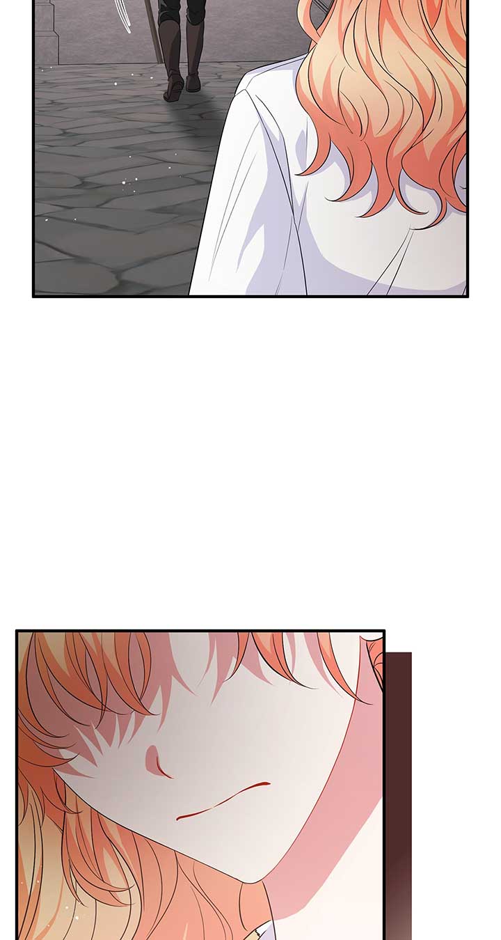 There Are Too Many Second Male Leads! Chapter 16 page 102