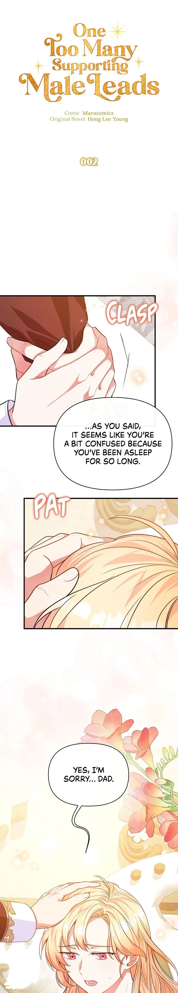 There Are Too Many Second Male Leads! Chapter 2 page 17