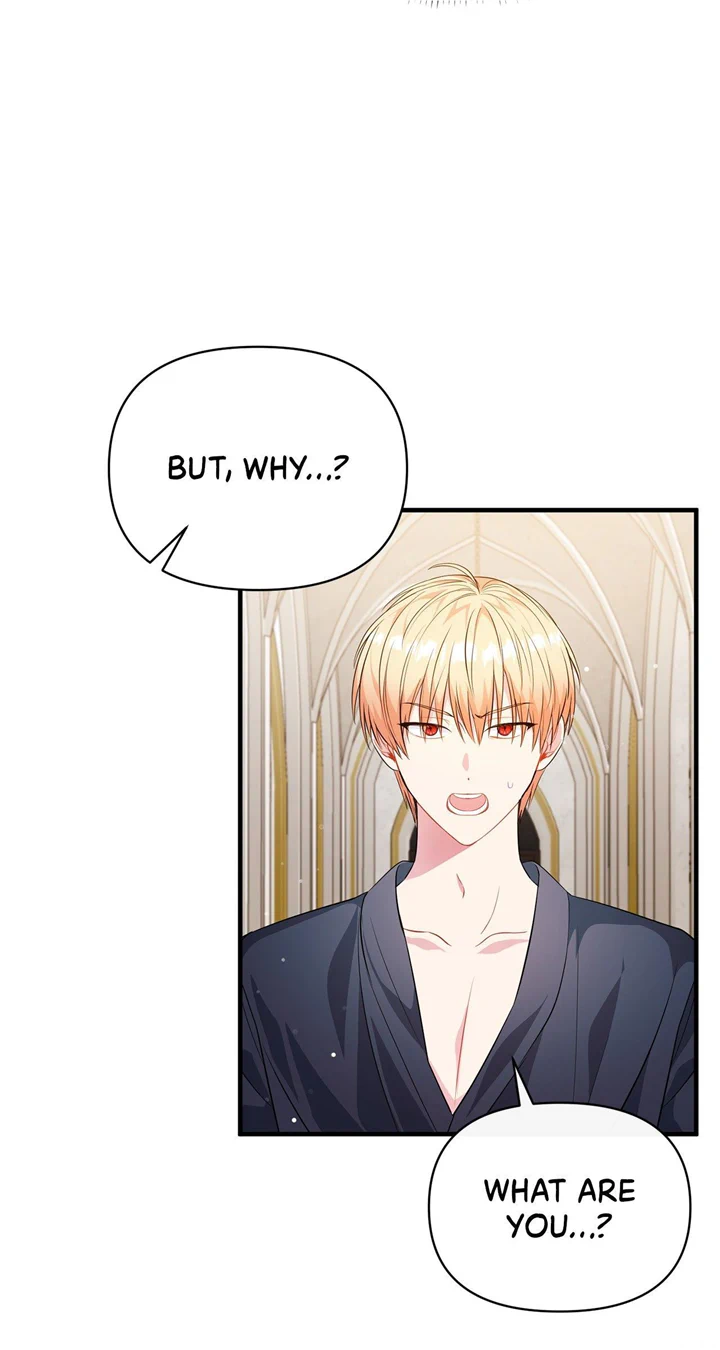 There Are Too Many Second Male Leads! Chapter 4 page 40