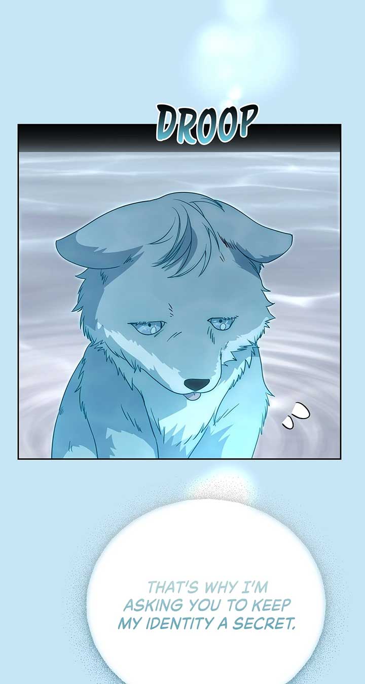 There Are Too Many Second Male Leads! Chapter 52 page 76