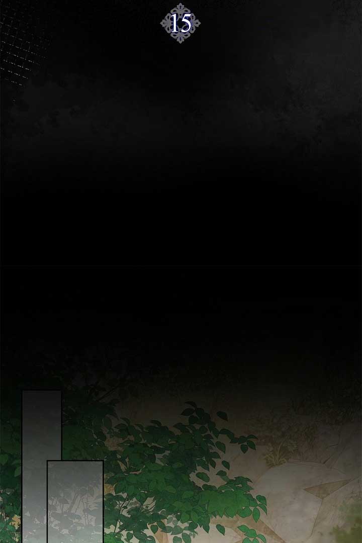 There is no forgiveness from the regressed lady Chapter 15 page 37