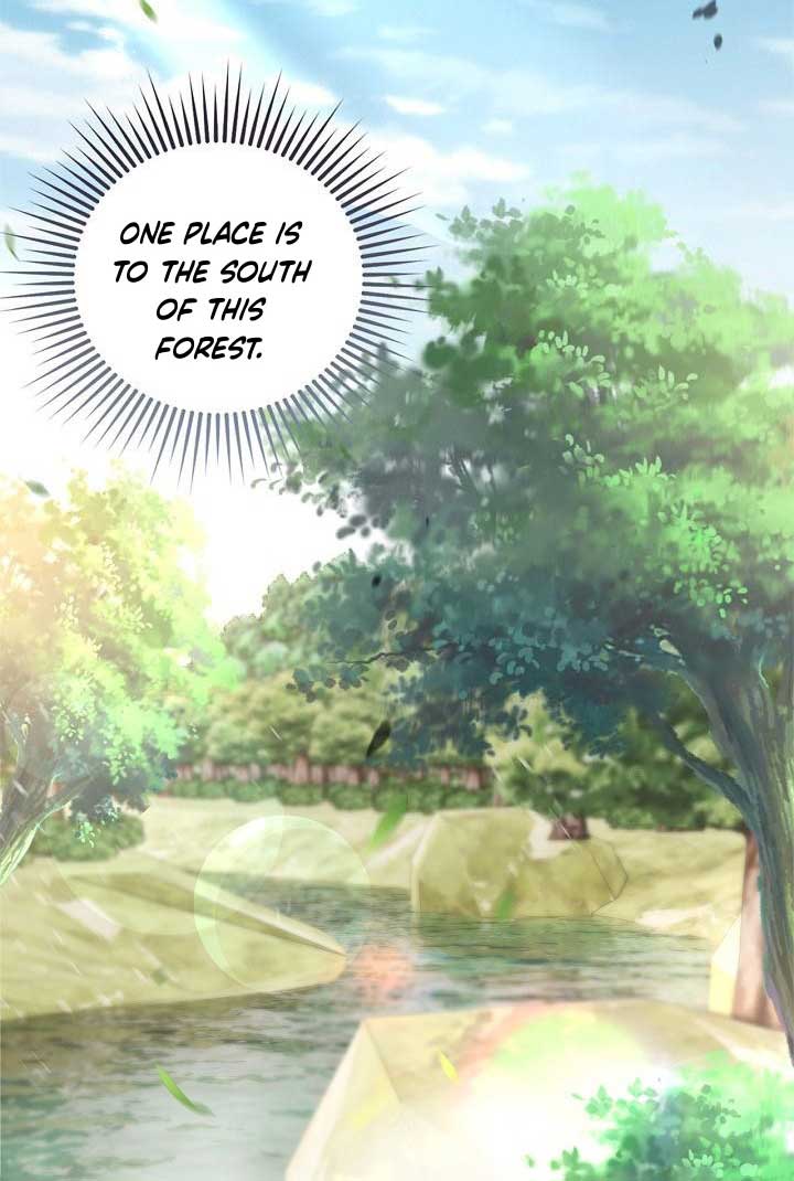 There is no forgiveness from the regressed lady Chapter 15 page 81