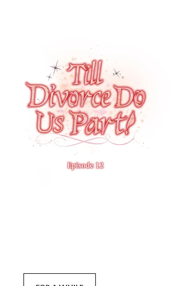 Till Divorce Do Us Part! Chapter 12 page 0
