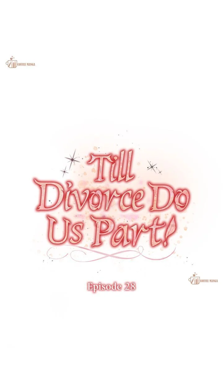 Till Divorce Do Us Part! Chapter 28 page 12