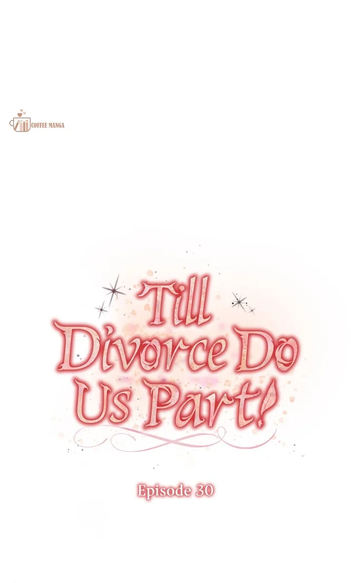Till Divorce Do Us Part! Chapter 30 page 0