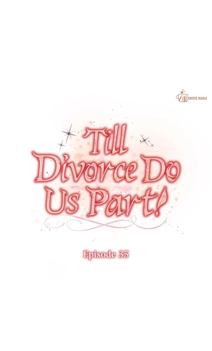 Till Divorce Do Us Part! Chapter 35 page 21