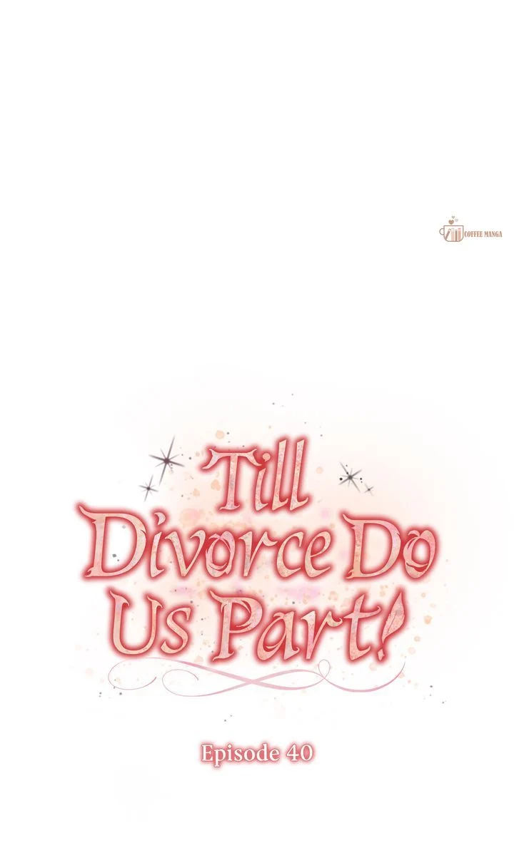 Till Divorce Do Us Part! Chapter 40 page 15