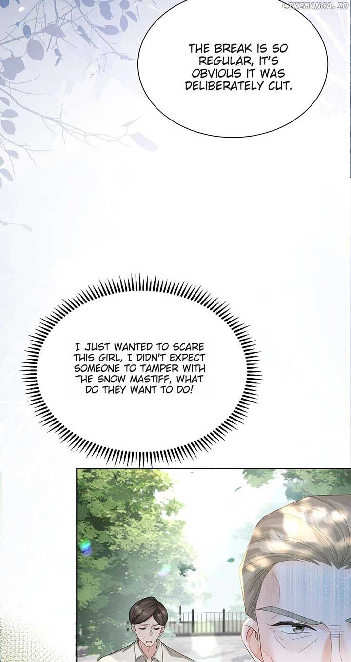 Transmigrating as the Younger Sister of a Bigshot with Multiple Identities Chapter 17 page 11