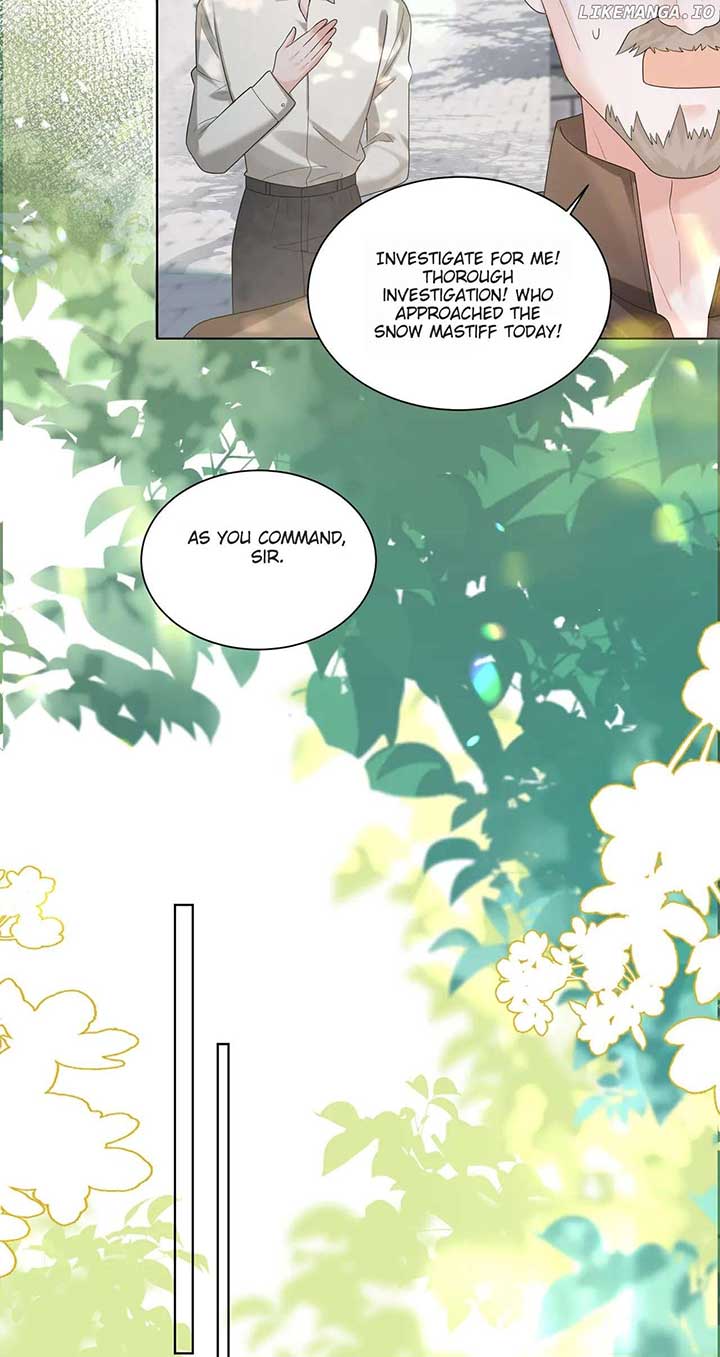 Transmigrating as the Younger Sister of a Bigshot with Multiple Identities Chapter 17 page 12