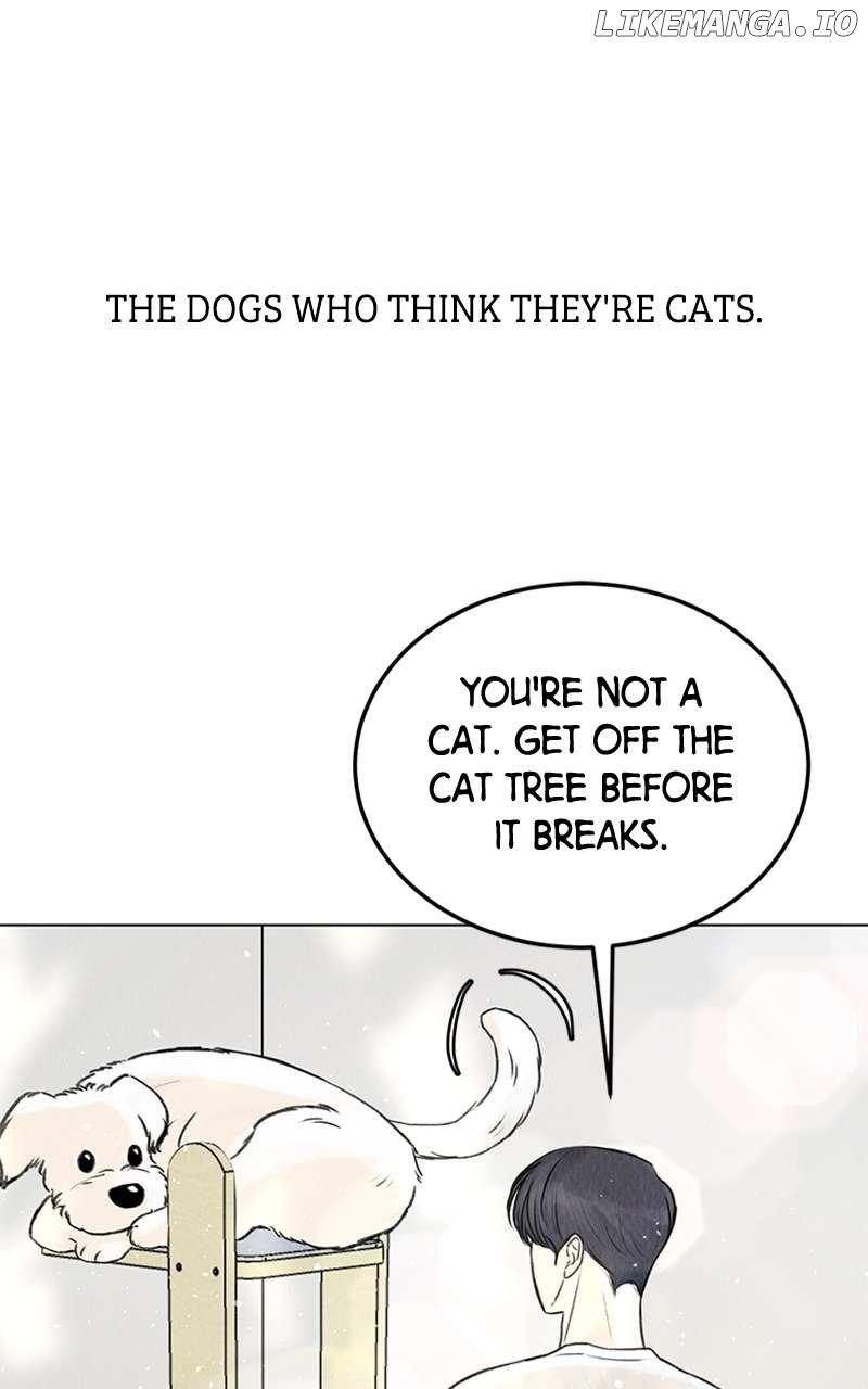 Want to See My Cat? Chapter 1 page 11