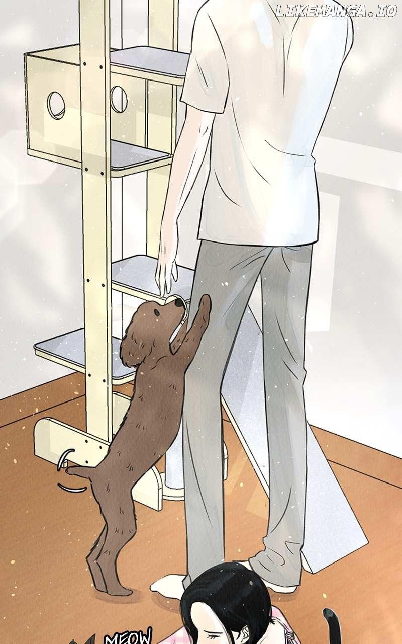Want to See My Cat? Chapter 1 page 12