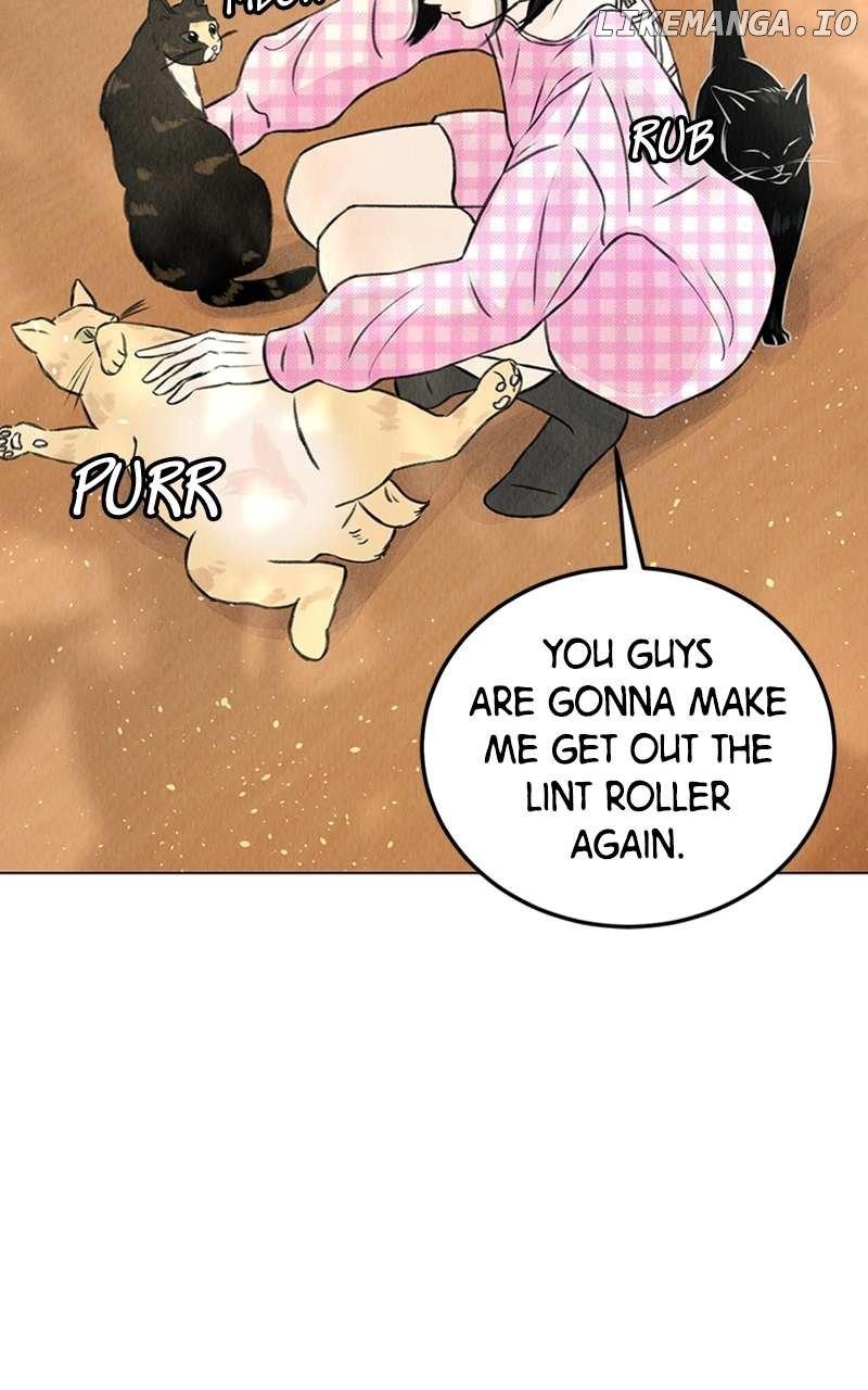 Want to See My Cat? Chapter 1 page 13