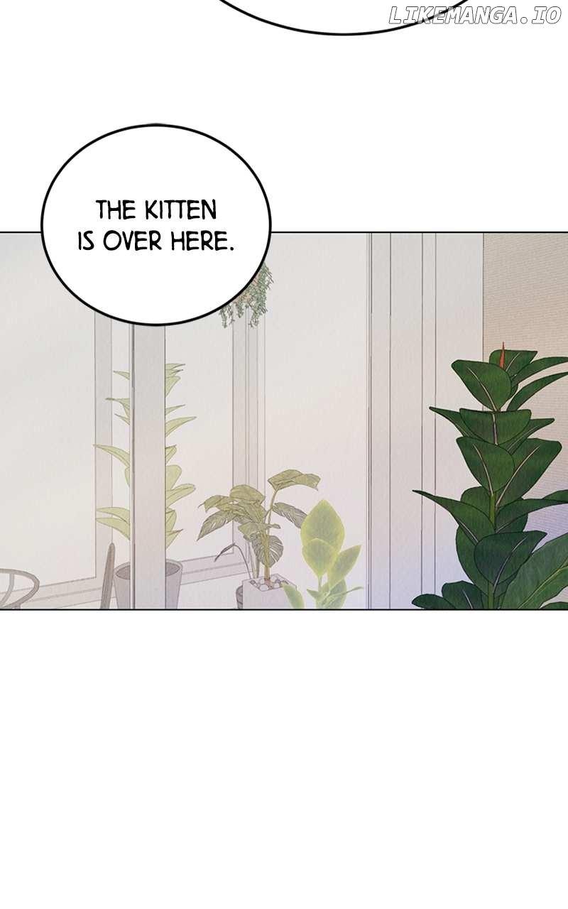 Want to See My Cat? Chapter 1 page 143