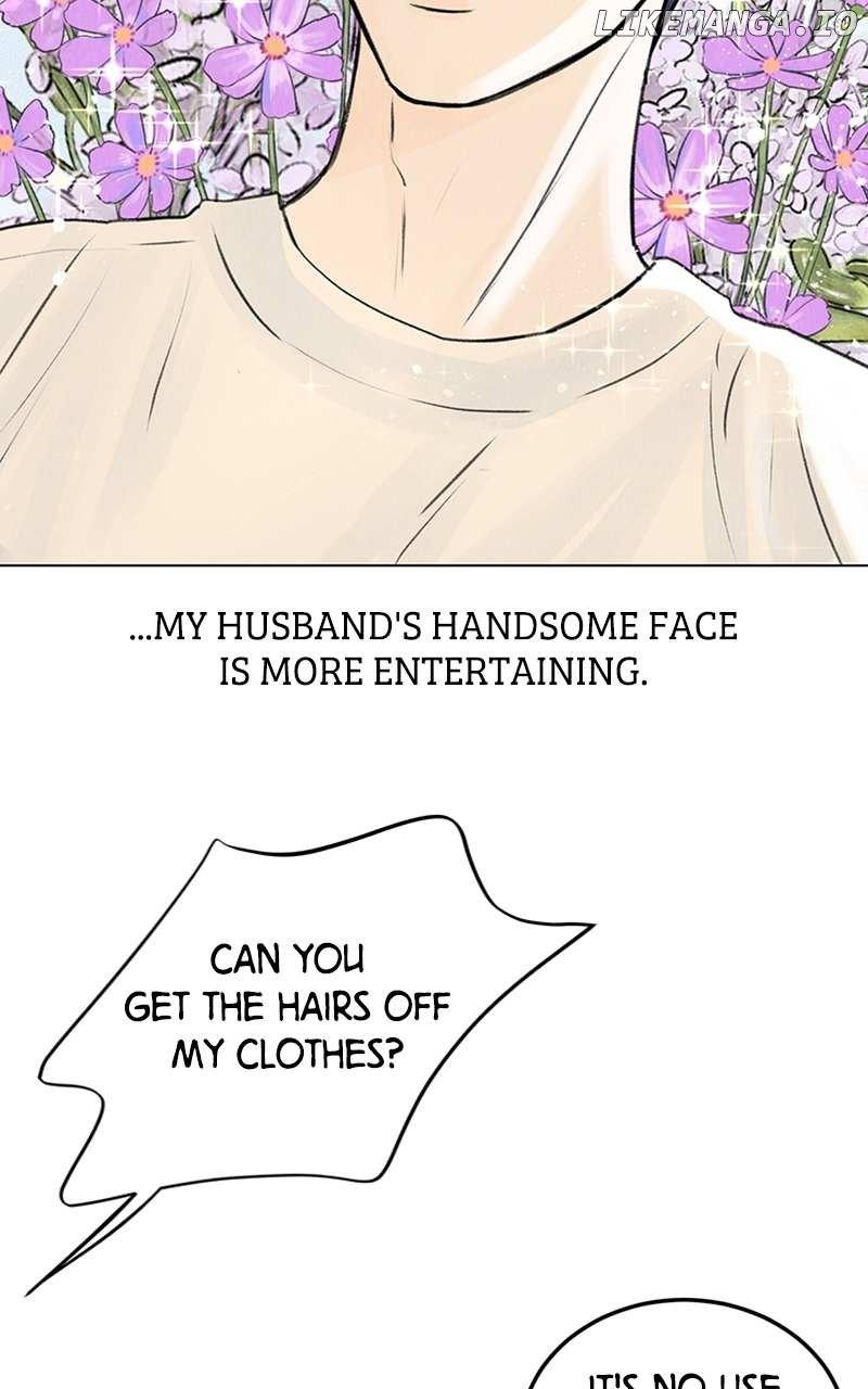 Want to See My Cat? Chapter 1 page 4