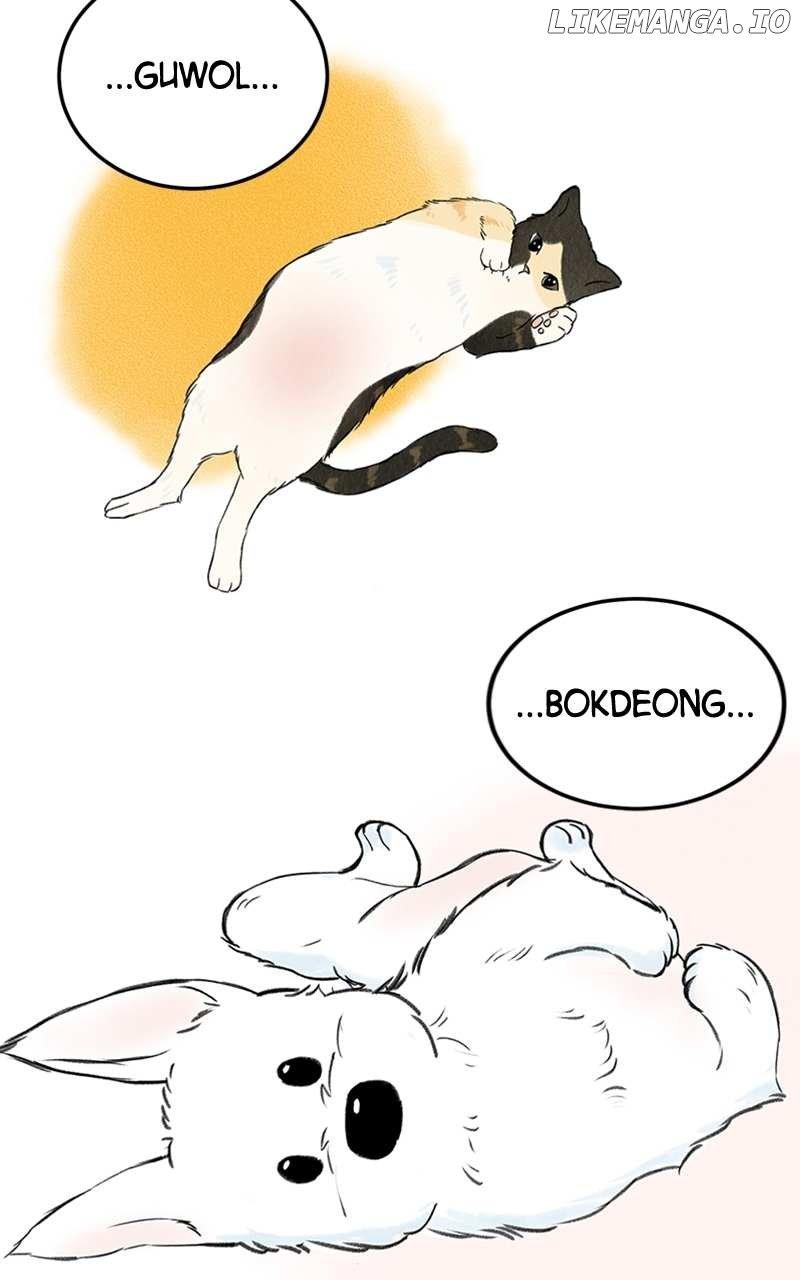 Want to See My Cat? Chapter 1 page 60