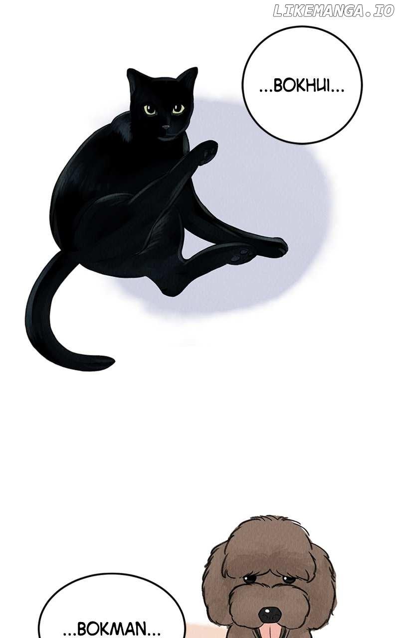 Want to See My Cat? Chapter 1 page 62