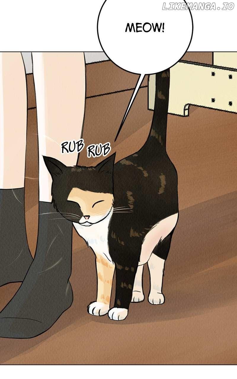 Want to See My Cat? Chapter 1 page 7