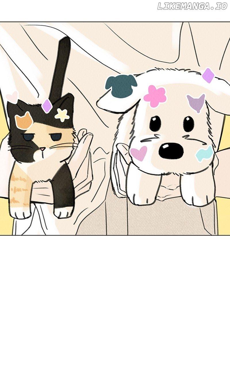 Want to See My Cat? Chapter 11 page 0